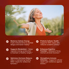 NMN Daily Longevity Blend