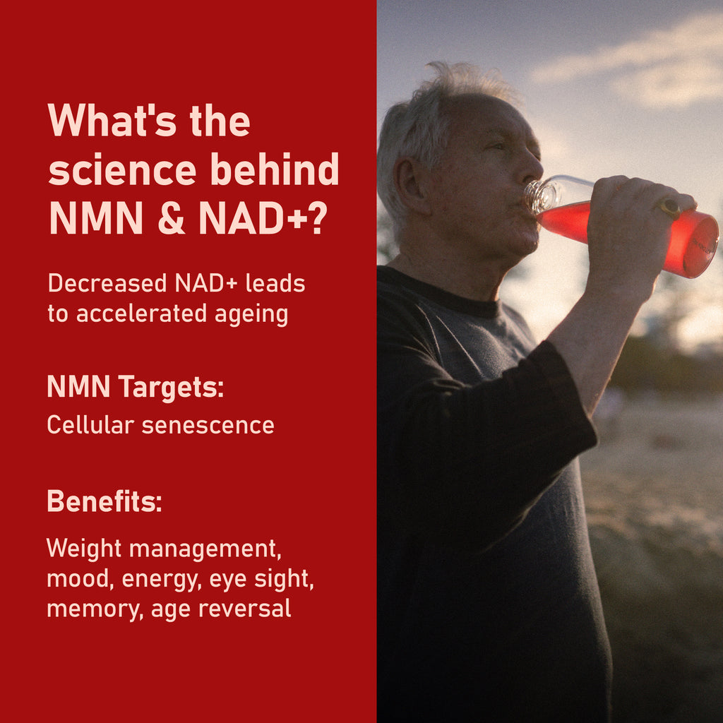 NMN Daily Longevity Blend