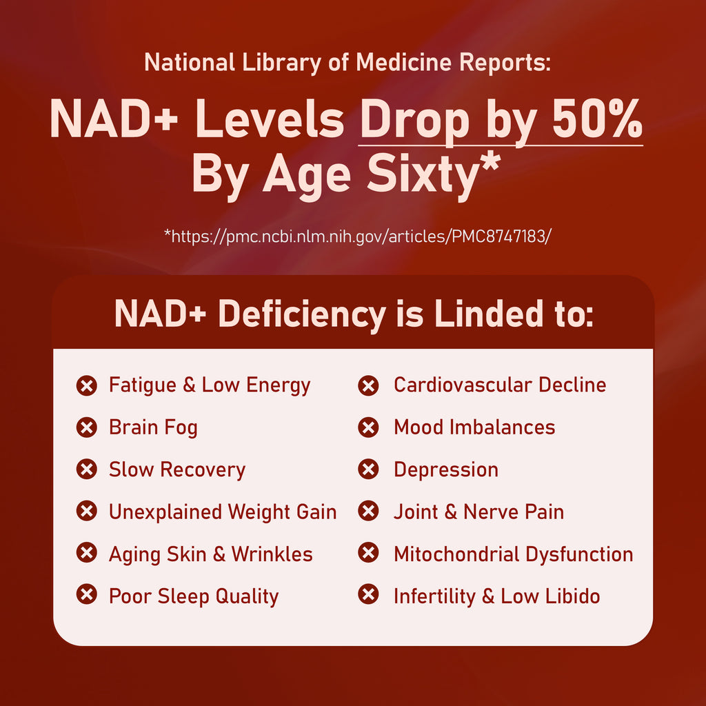 NMN Daily Longevity Blend