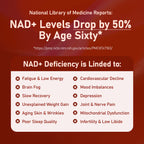 NMN Daily Longevity Blend