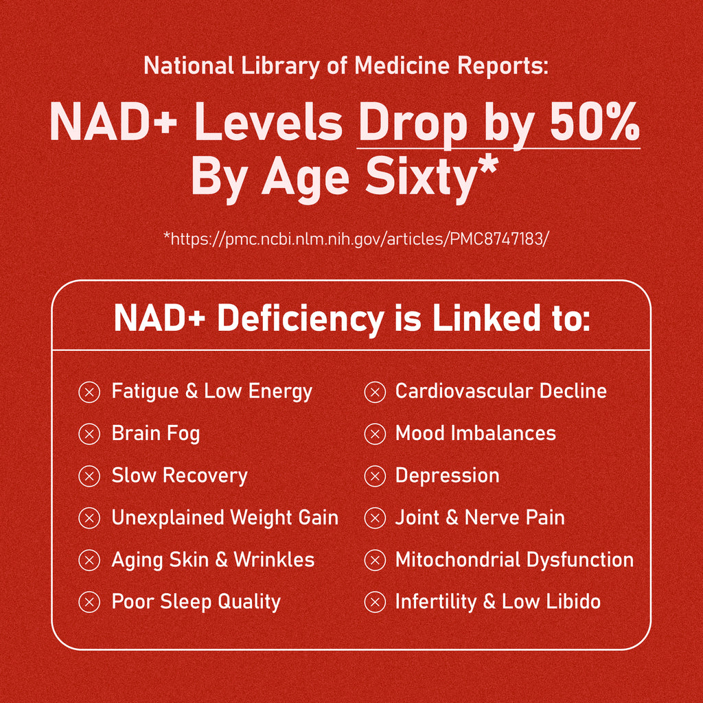 NMN Daily Longevity Blend