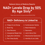 NMN Daily Longevity Blend