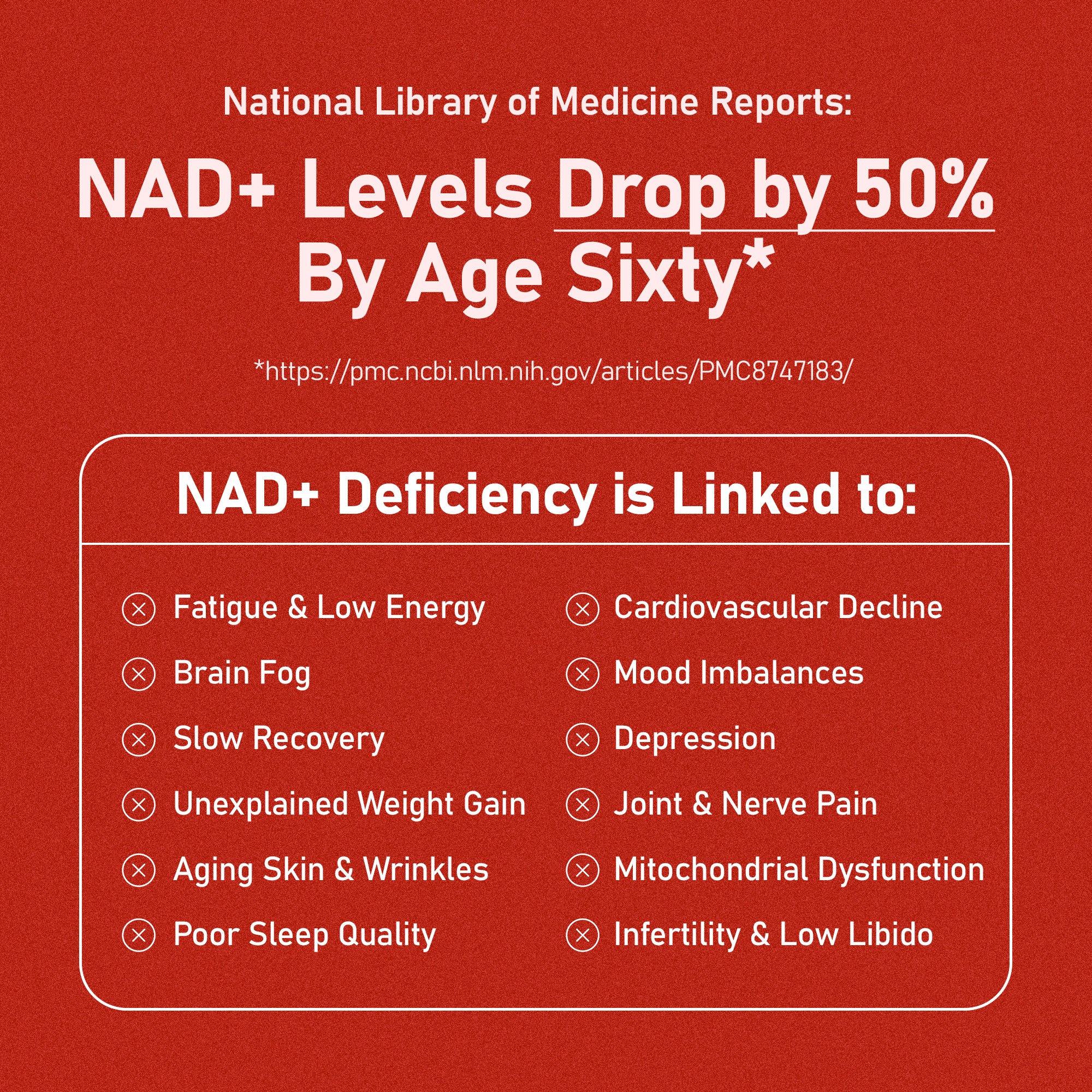 NMN Daily Longevity Blend